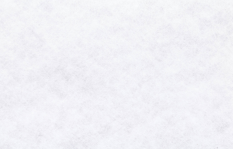 SONEX CLEAN 2.png
